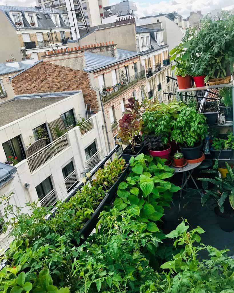 22 Rooftop Vegetable Garden Ideas To Try This Year SharonSable