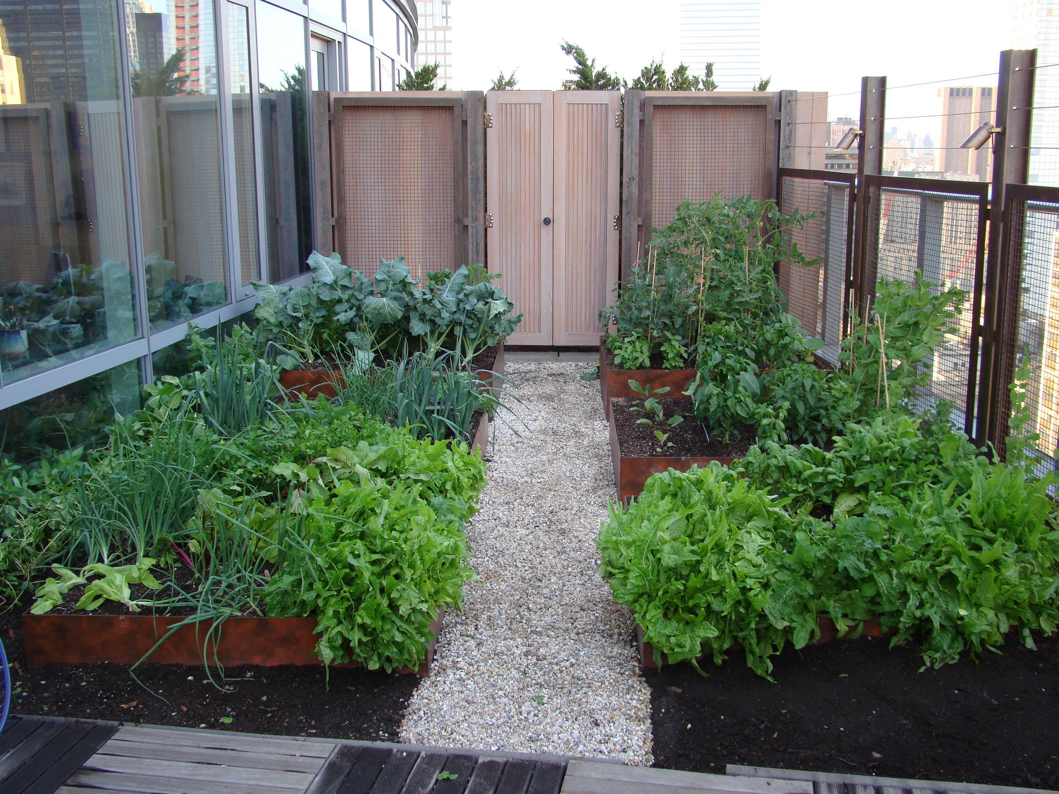 22 Rooftop Vegetable Garden Ideas To Try This Year SharonSable