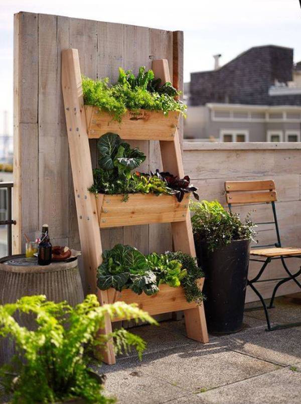 Roof Vegetable Garden Construction Ideasreview