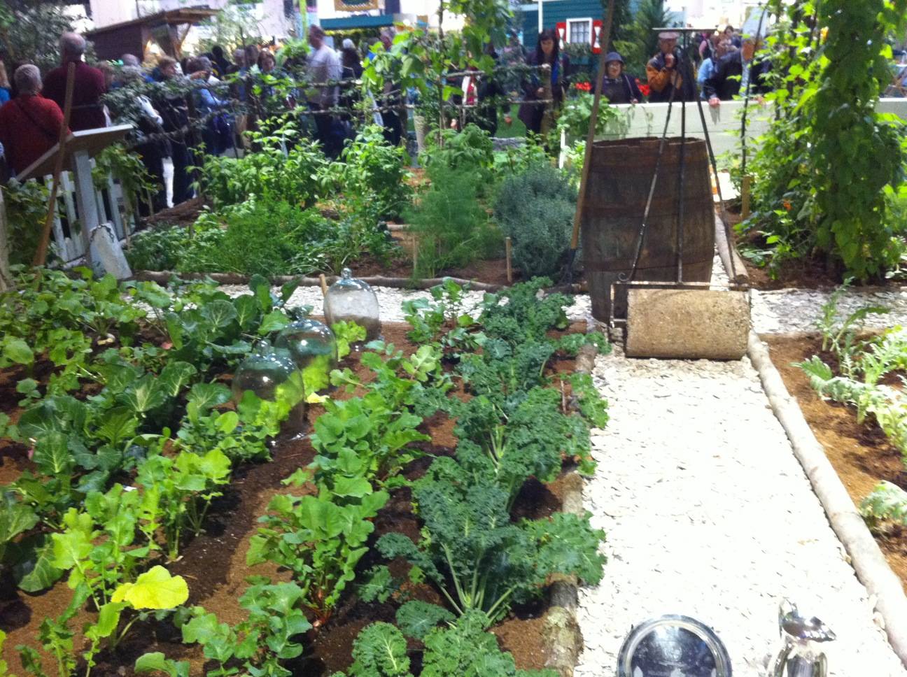 Roof Garden Design