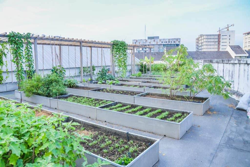 Rooftop Vegetable Garden Ideas