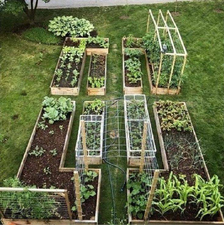 X Raised Bed Vegetable Garden Layout Ideas Housedesign