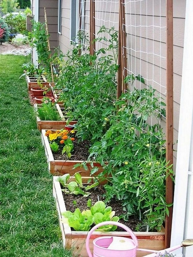 Raised Vegetable Garden Layout