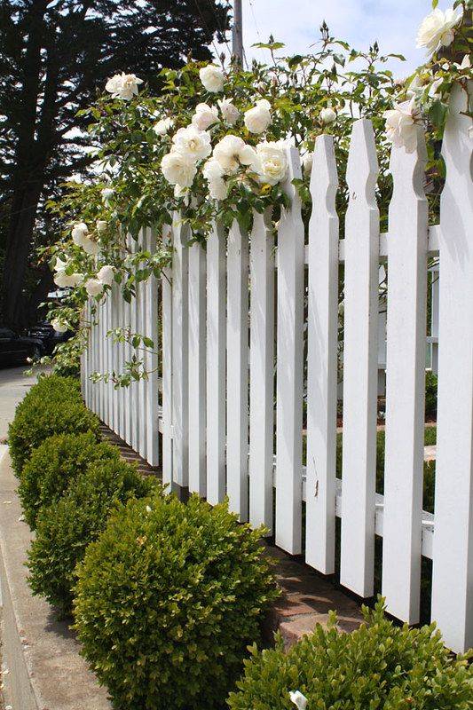A Stunning Cottagestyle Garden Reliable