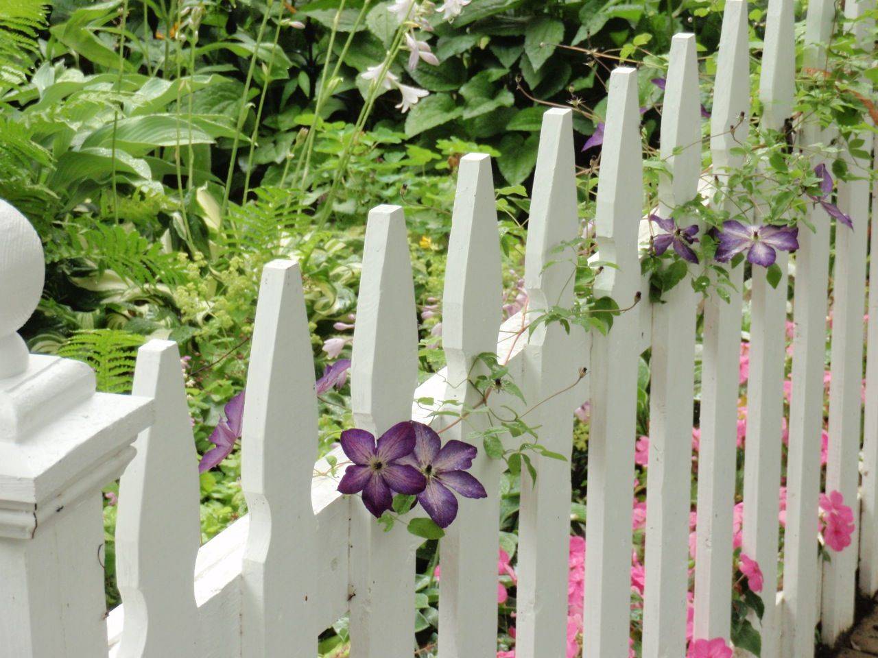 23 Picket Fence Cottage Garden Ideas You Gonna Love SharonSable