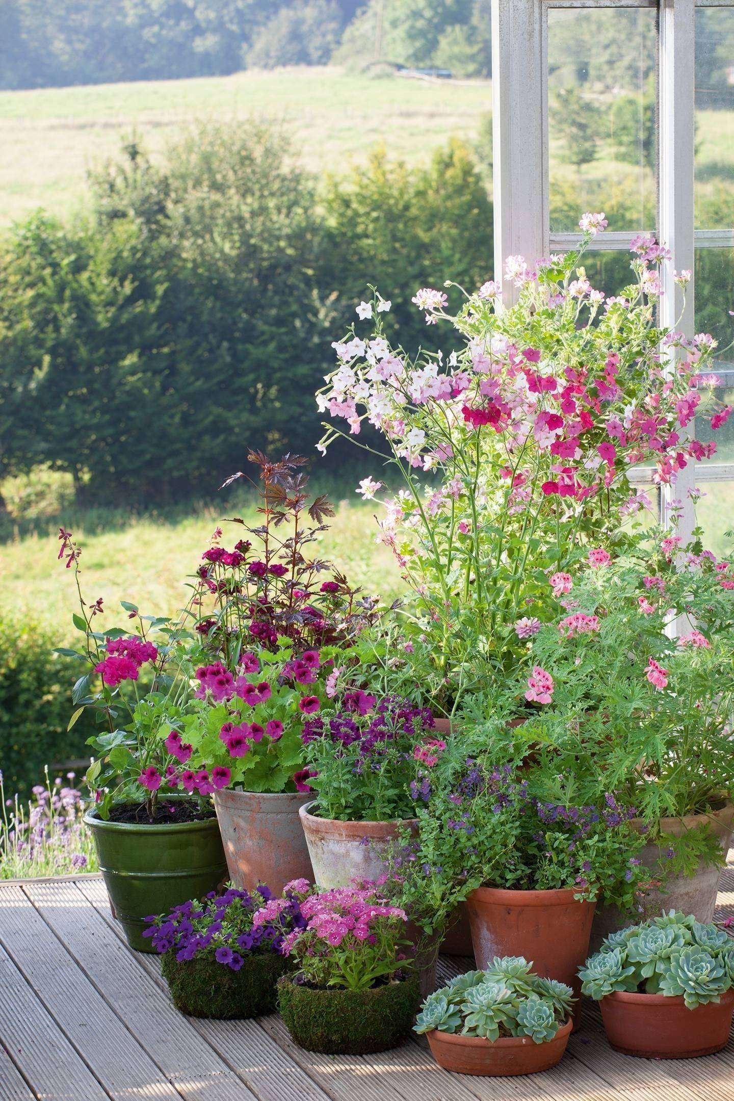 Stunning Small Cottage Garden Ideas