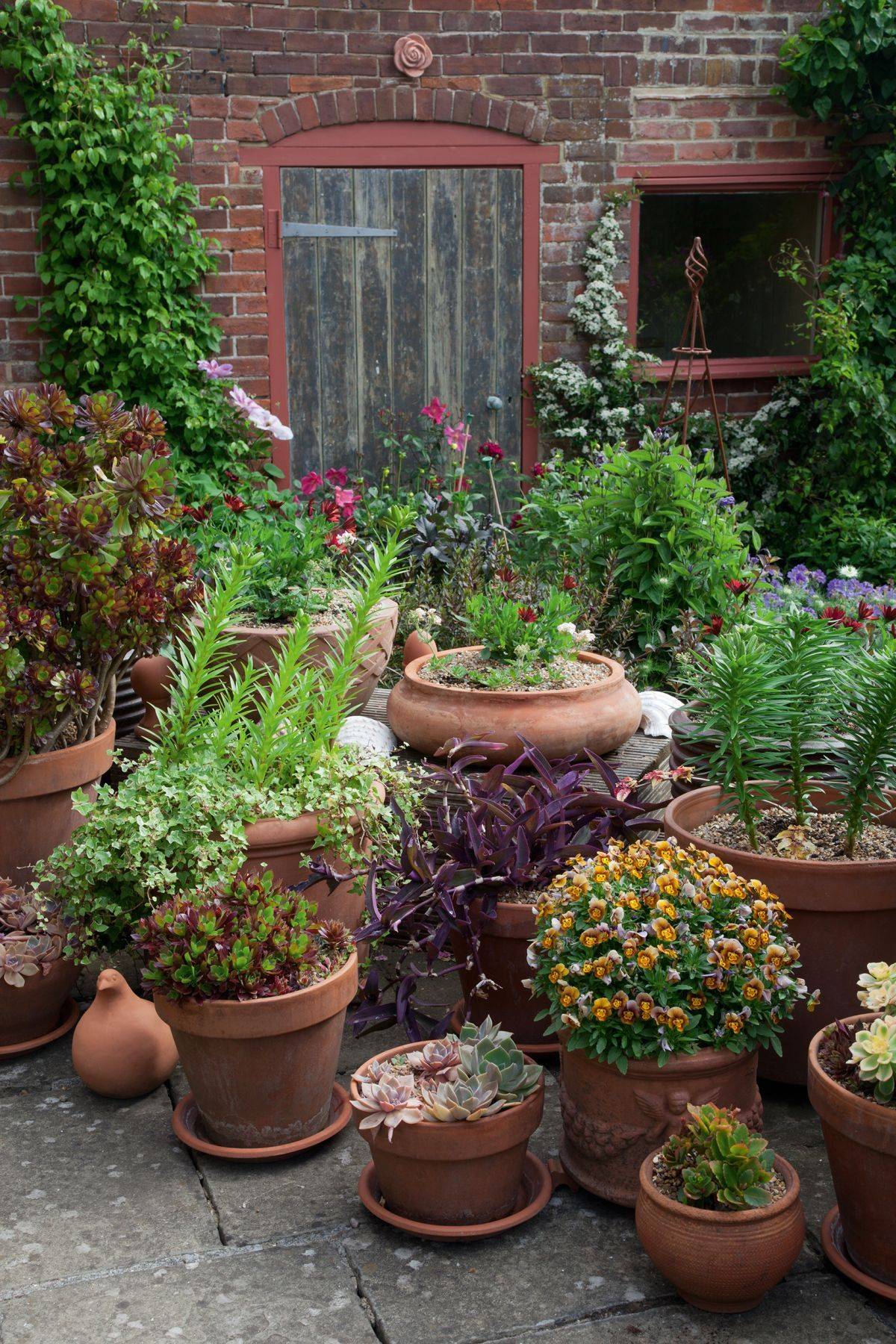 Simple Cottage Garden Ideas