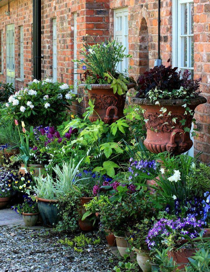 Graceful Container Garden Ideas