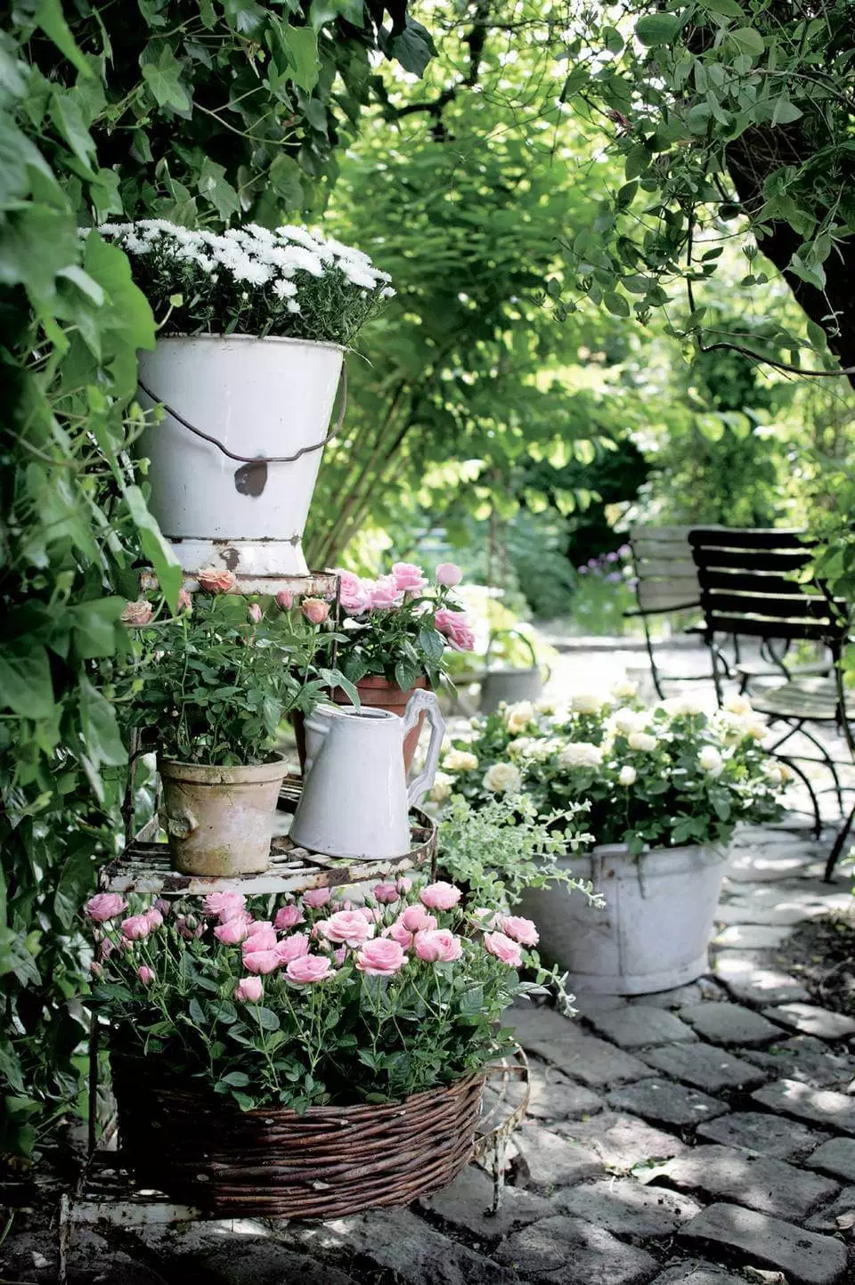 Beautiful Container Gardening Ideas