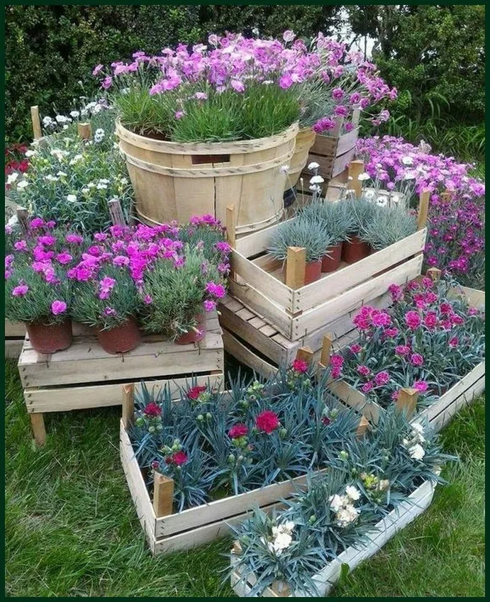 Container Gardening Ideas