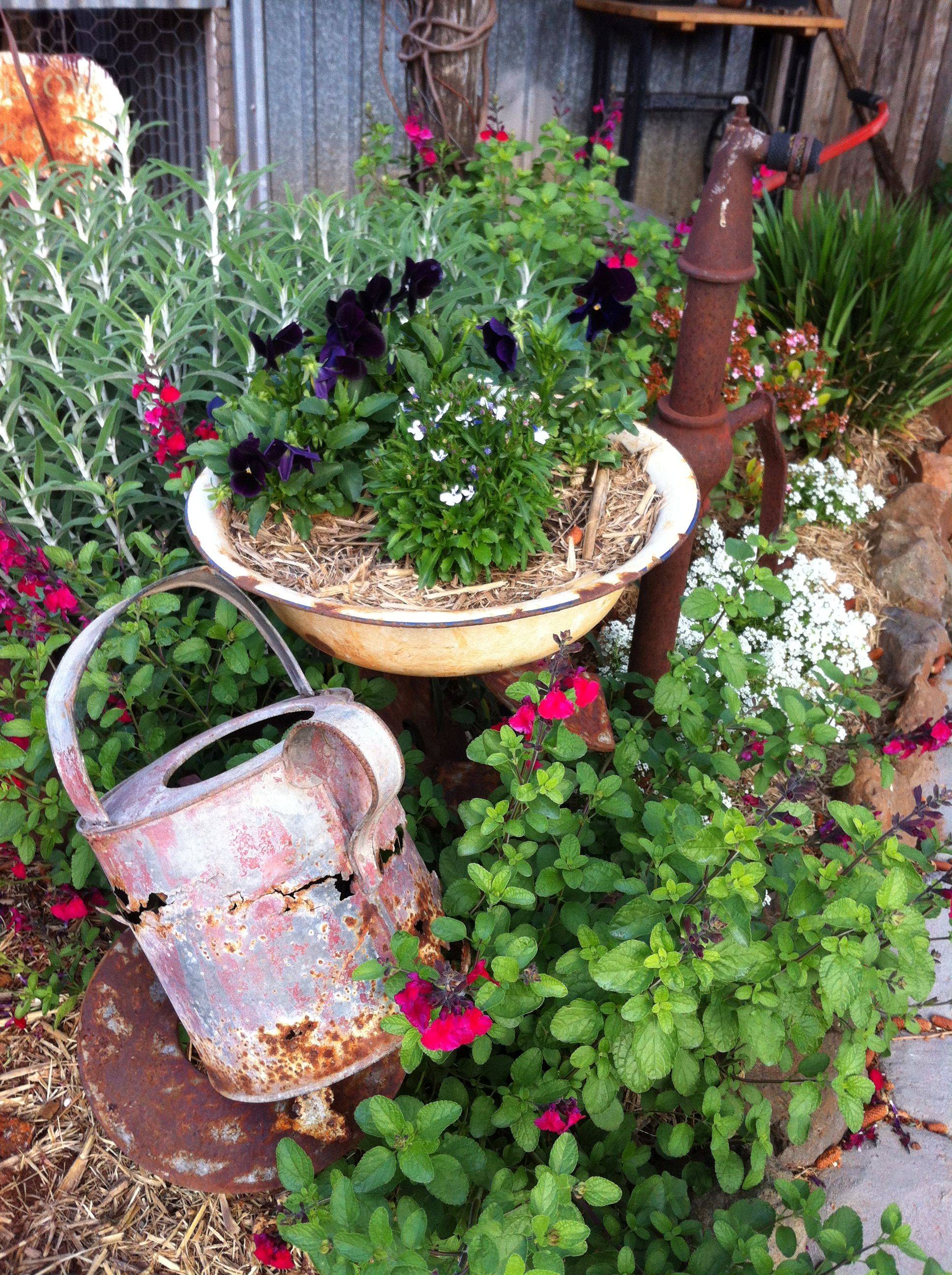 Container Grown Cottage Gardens