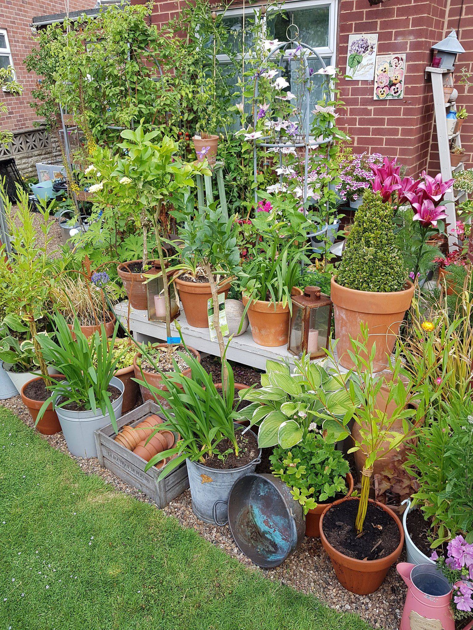 An Ecofriendly Kitchen Garden Cottage Garden