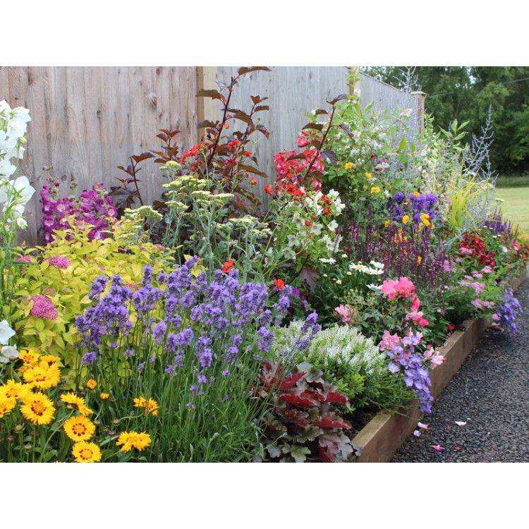A Shady Border Anne Macfie Garden Design Rustic Style Garden Homify