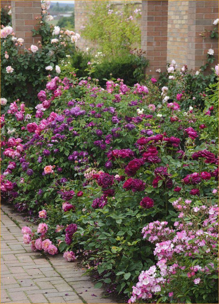 Narrow Borders