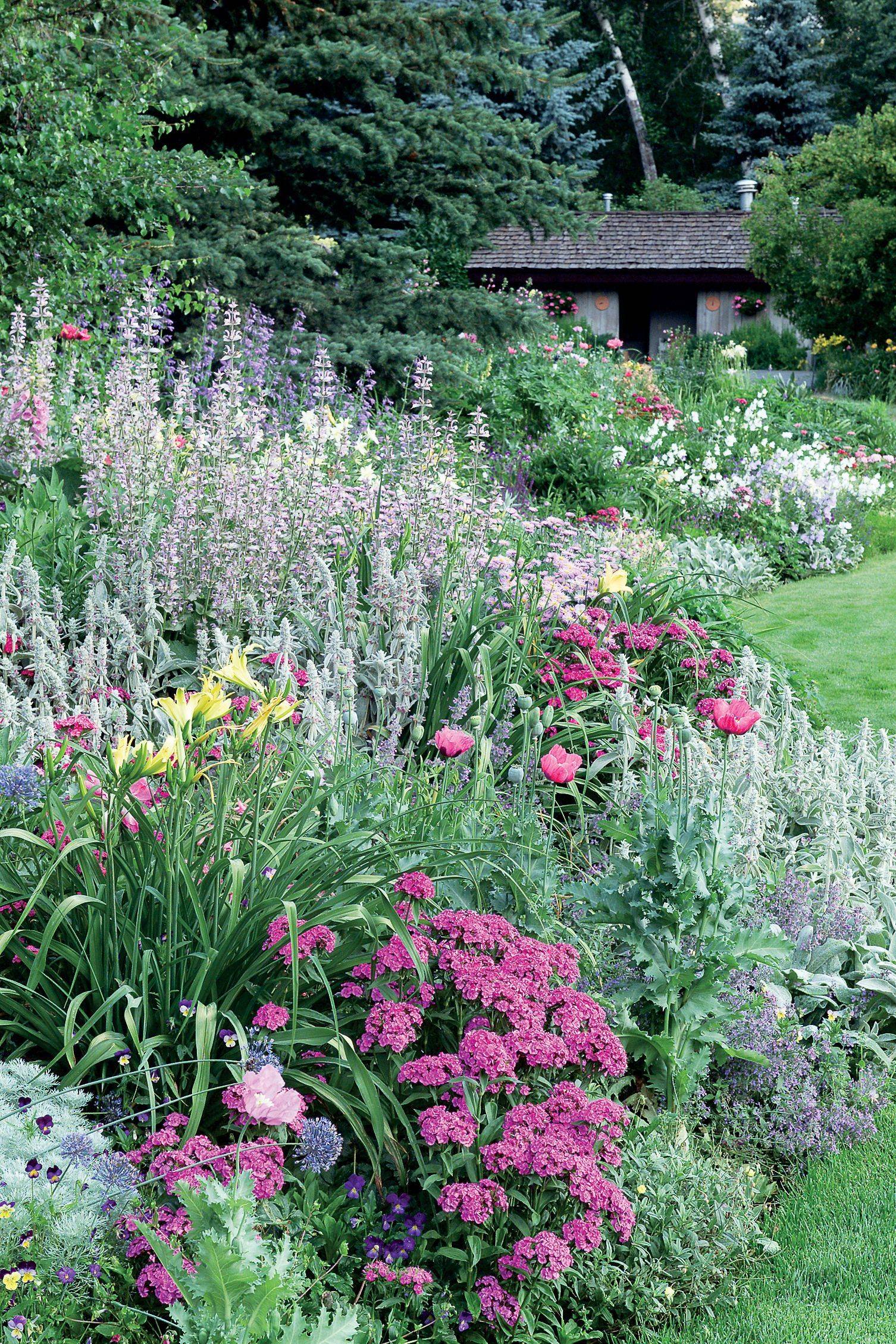 English Cottage Border Cottage Garden Borders