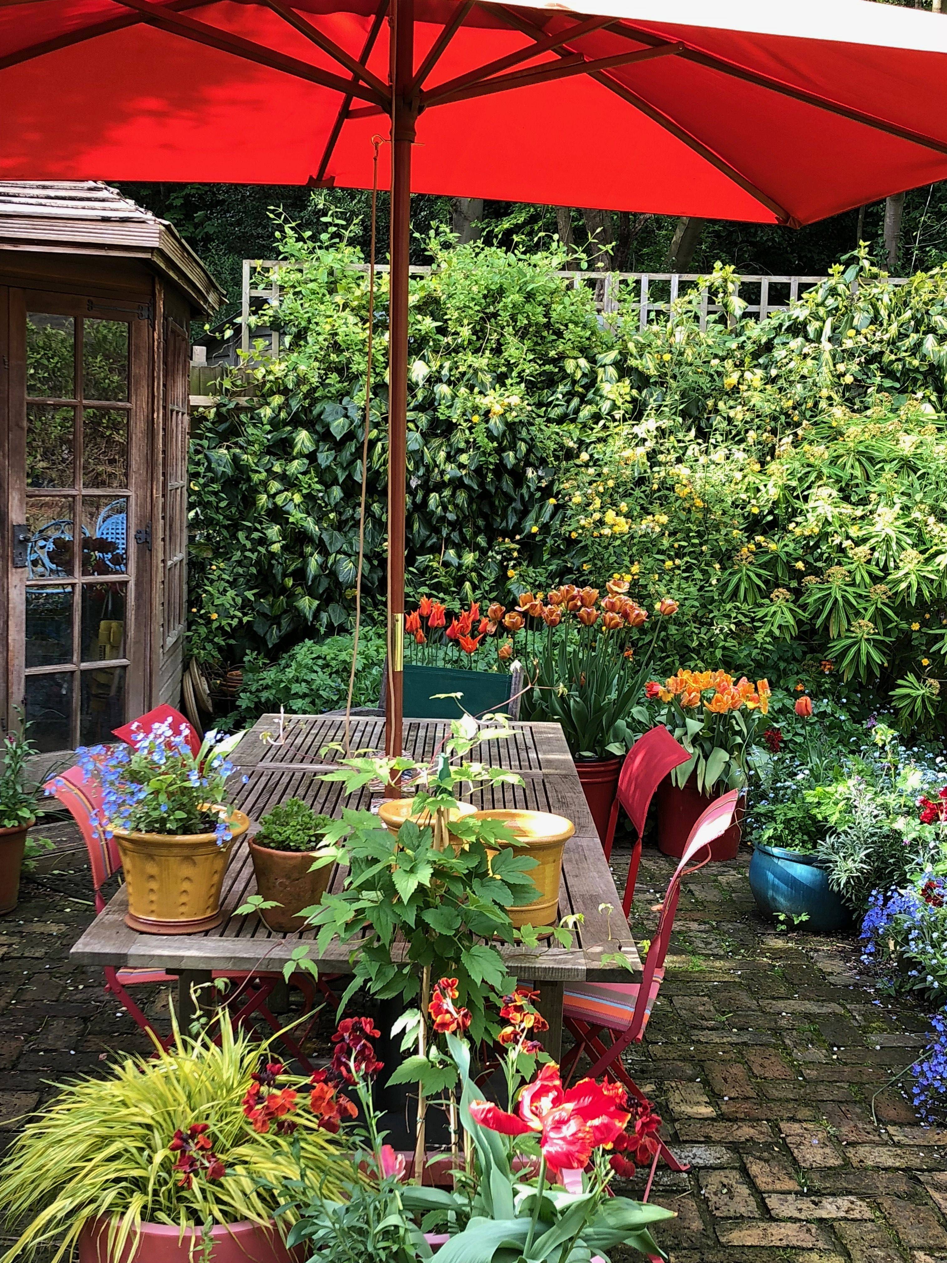 Stunning Small Cottage Garden Ideas