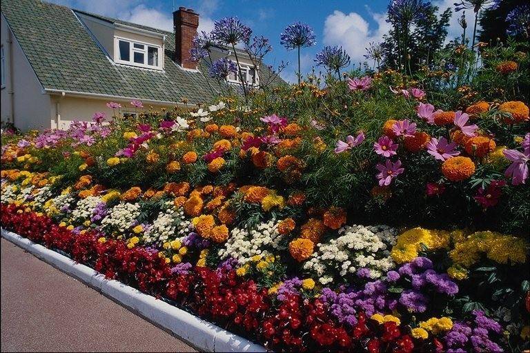 Pinterest Garden Ideas