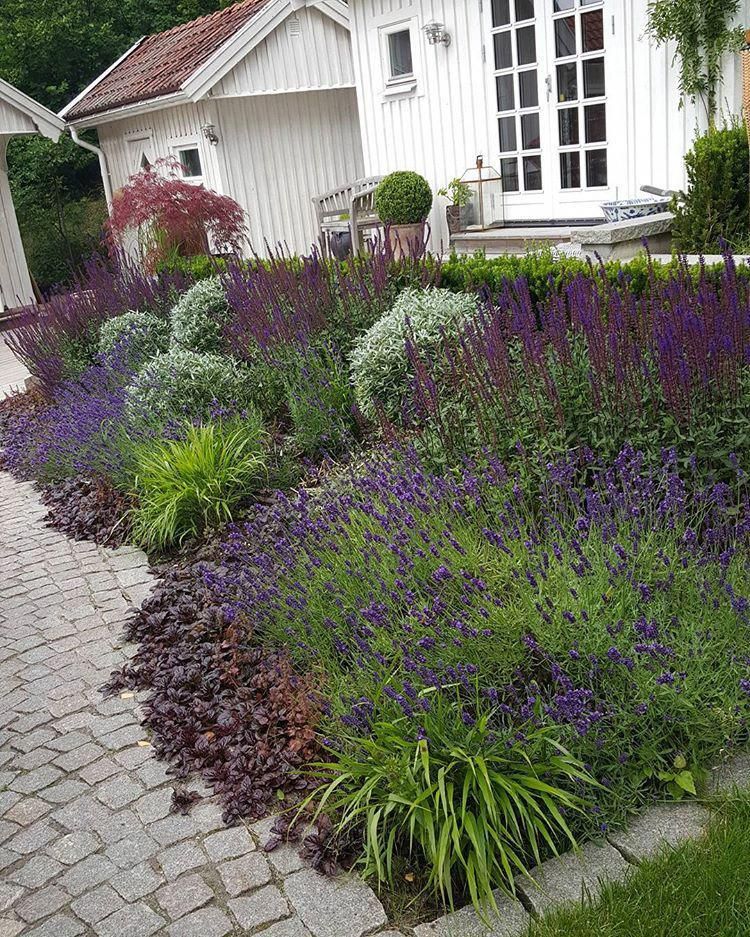 Shady Yards Small Front Gardens