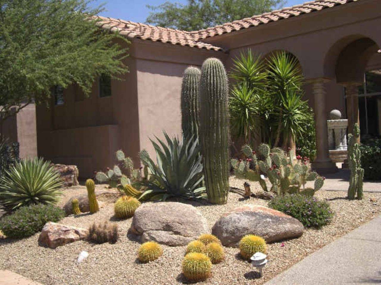 Adorable Beautiful Arizona Backyard Ideas