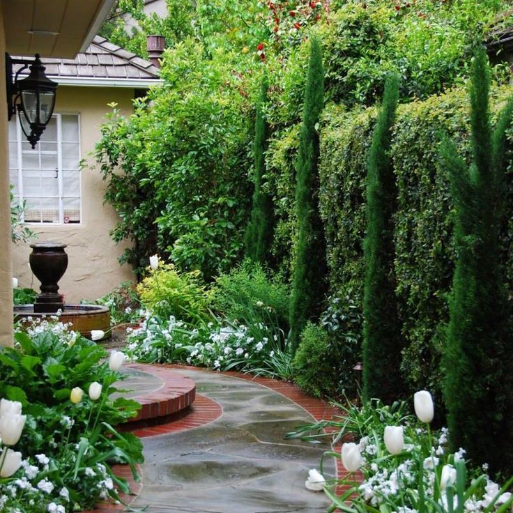 Long Narrow Garden Design Pictures