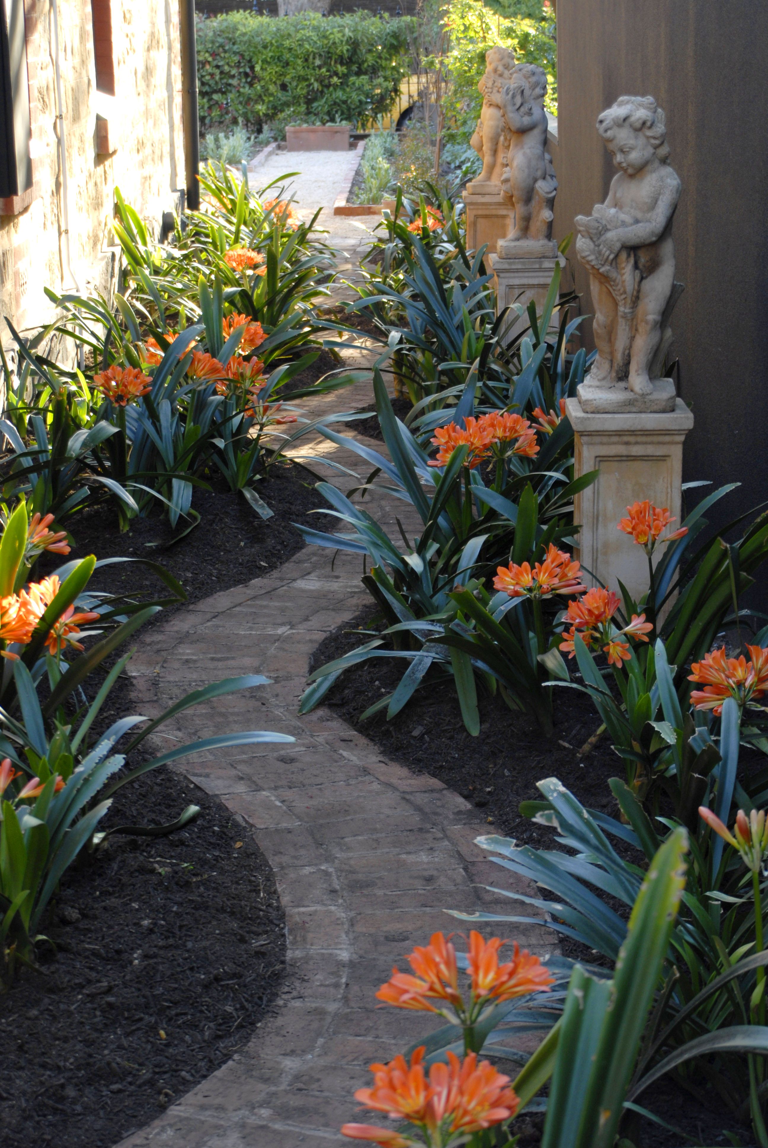 And Patio Narrow Side Yard