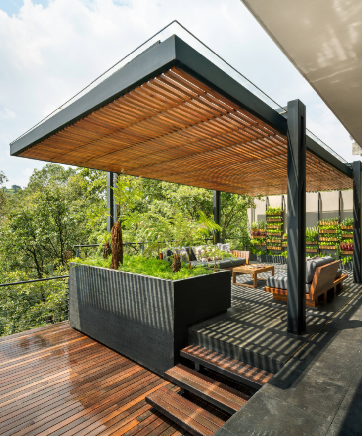 Modern Garden Canopy