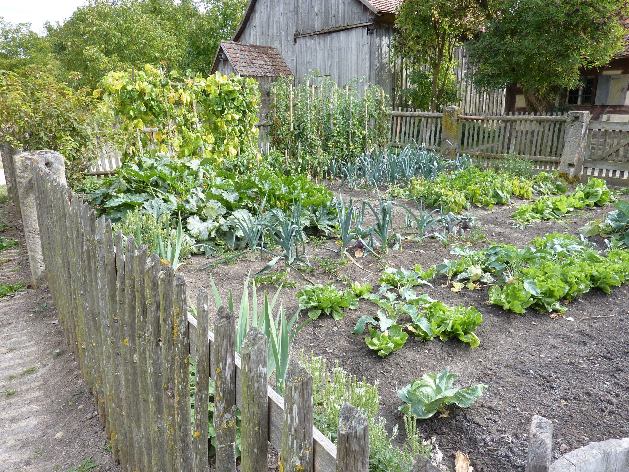 Impressive Vegetable Garden Designs