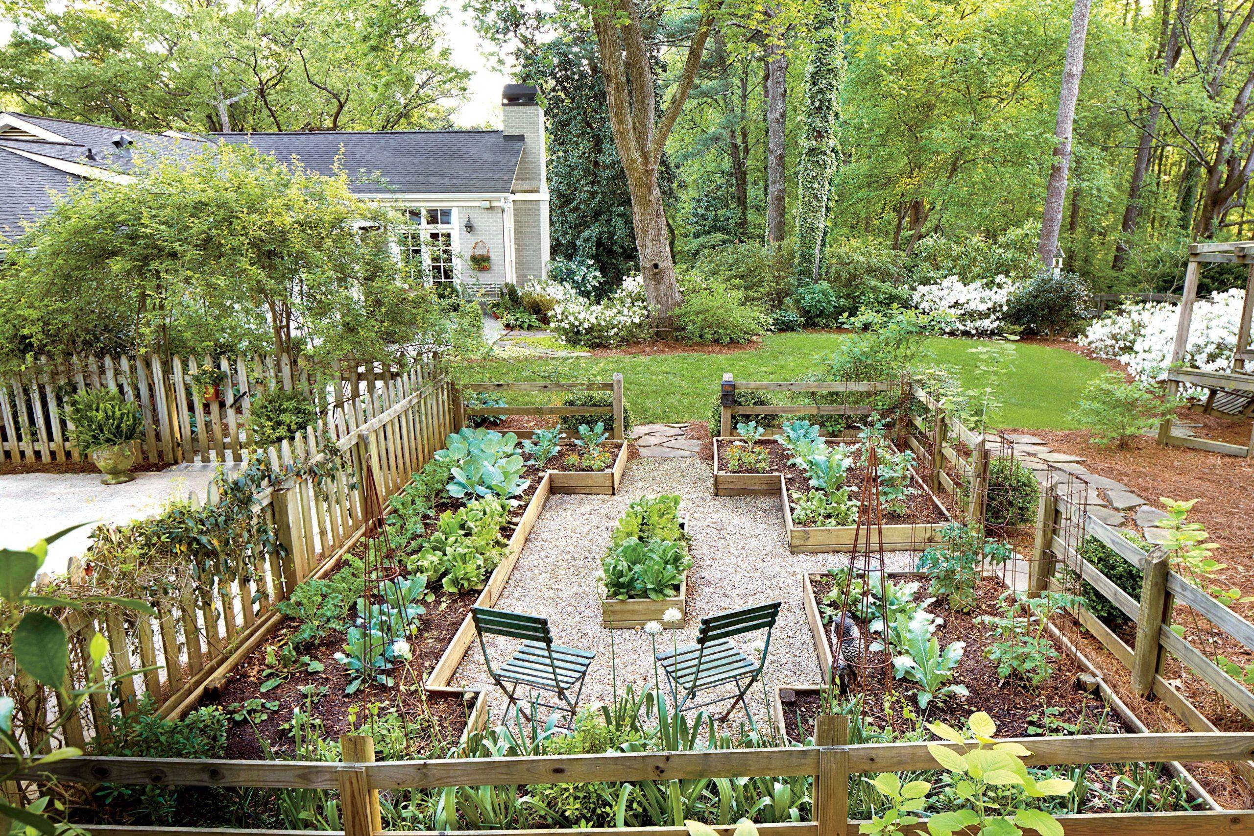 A Kitchen Garden Small Cottage Garden Ideas