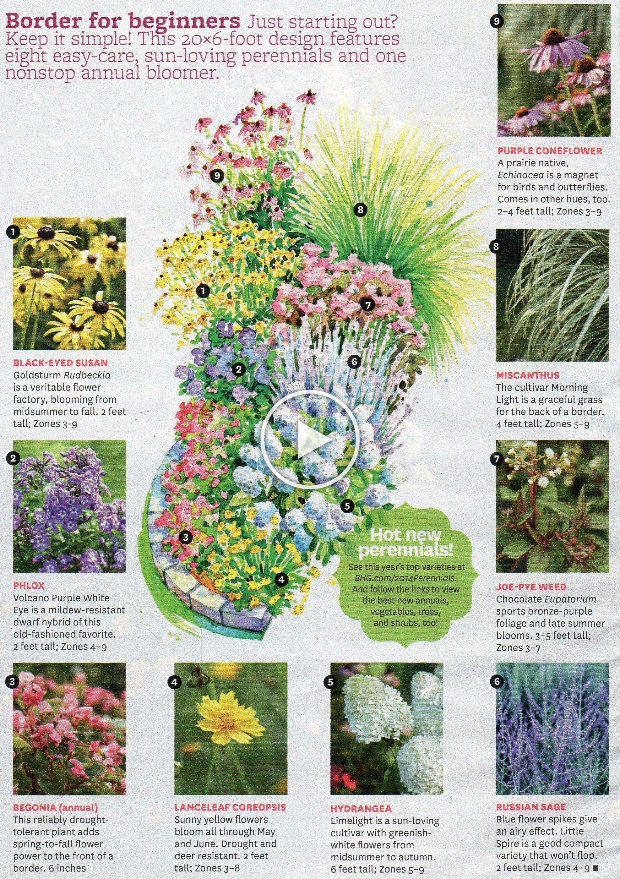 Cottage Garden Borders