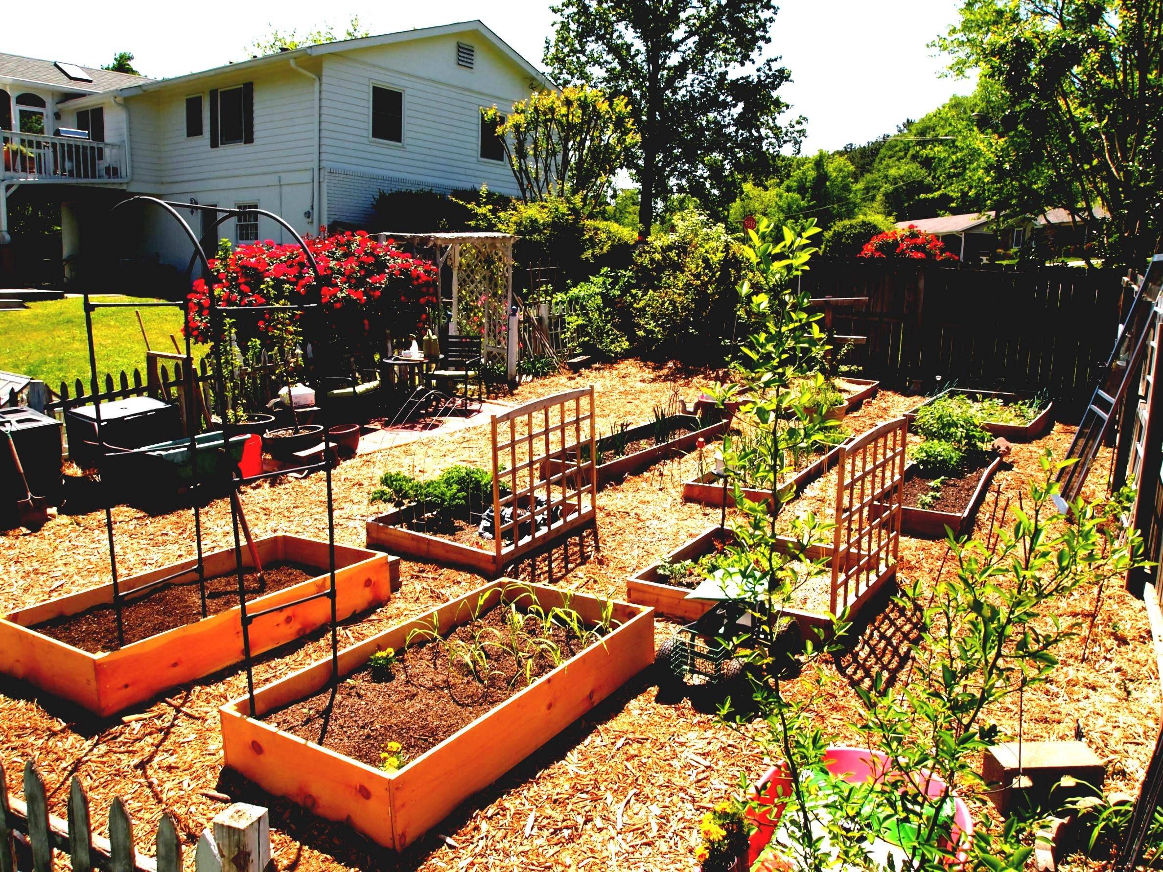 Lovely Homestead Farm Garden Layout