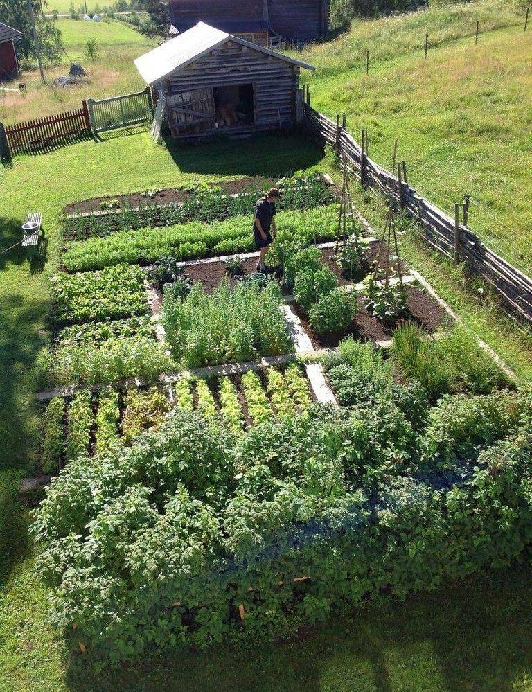 A Very Organized And Beautiful Vegetable Garden