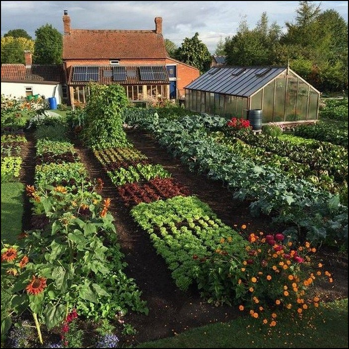 Home Vegetable Garden Design Phenomenal Best Small Super Garden