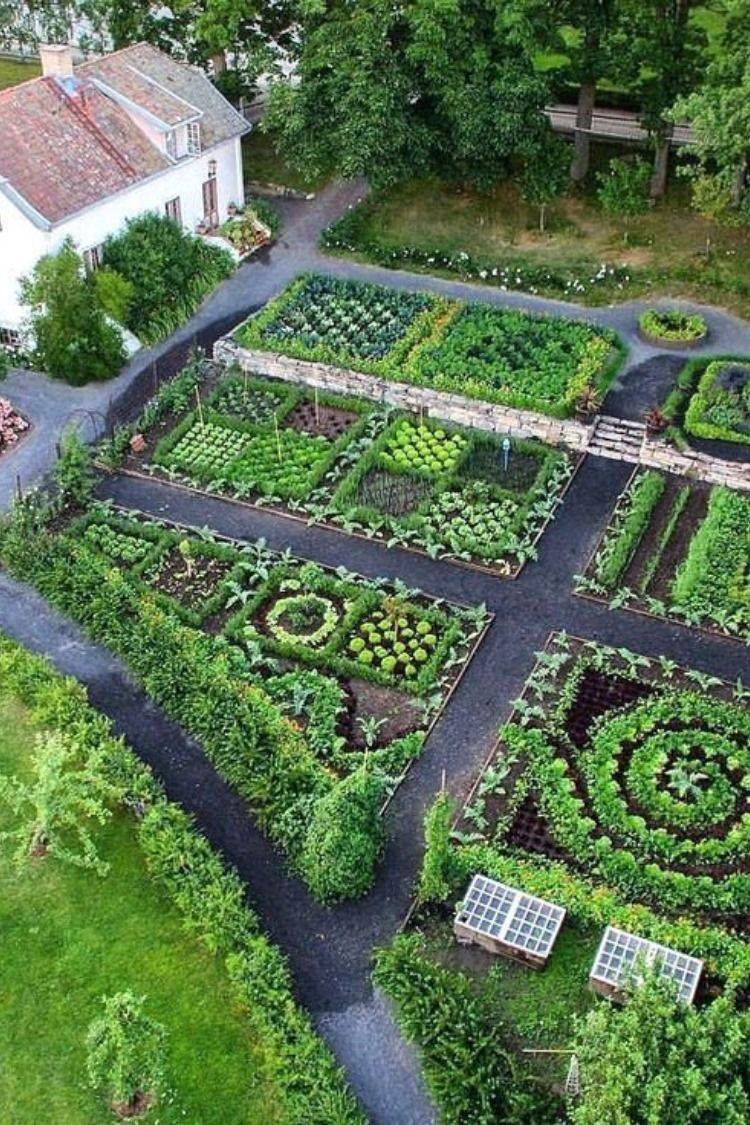 Diy Vegetable Garden Ideas