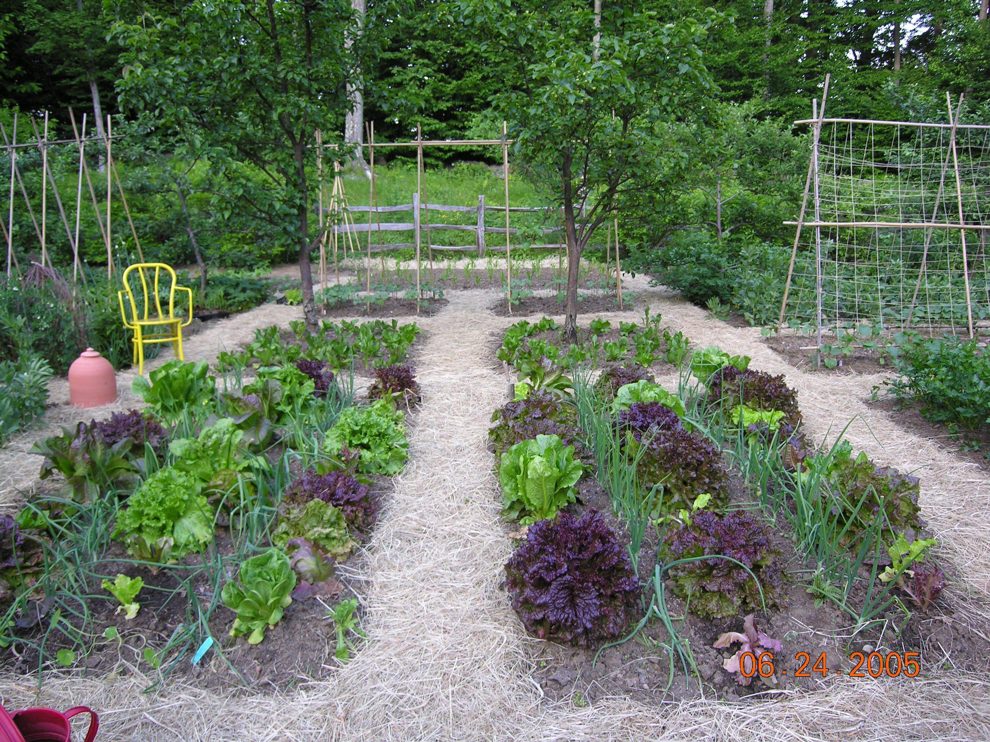 23 Vegetable Garden Paths Ideas To Try This Year SharonSable