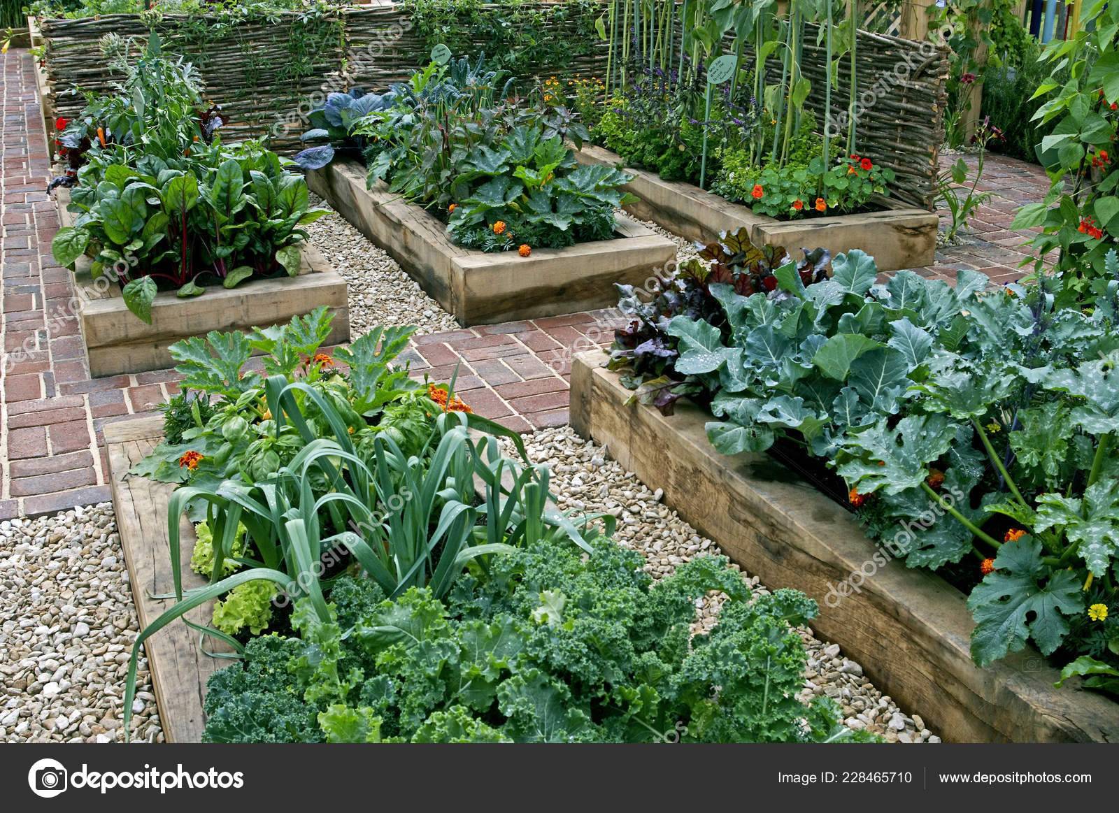Beautiful Raised Bed Vegetable Gardens
