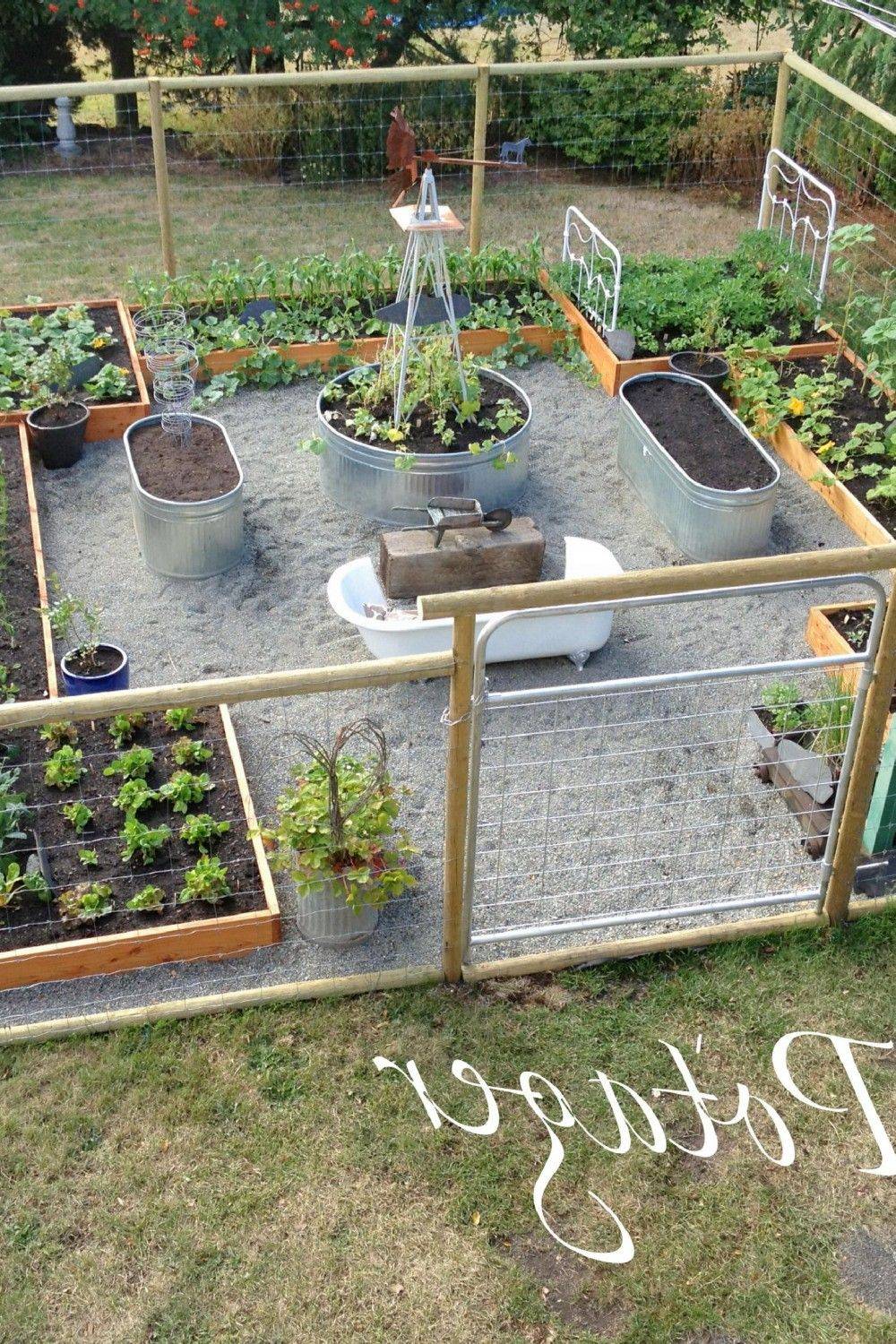 Extraordinary Vegetable Garden Ideas