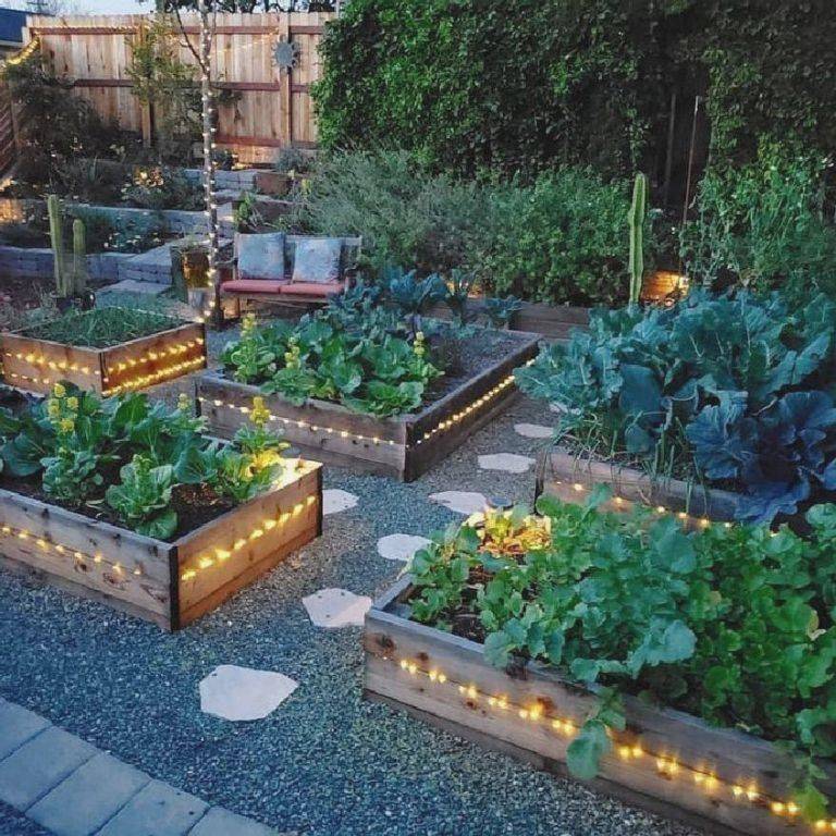 A Vegetable Garden World