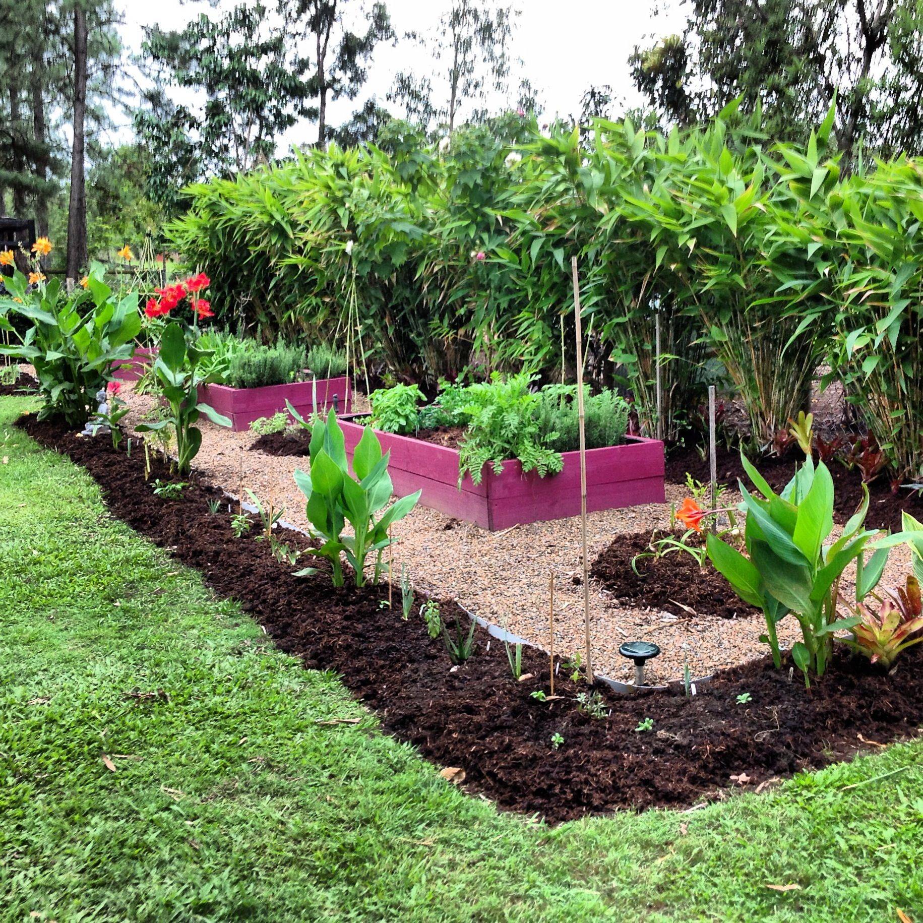 Interesting Vegetable Garden Ideas