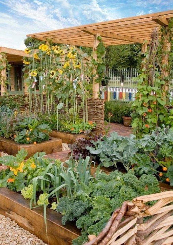 Most Beautiful Vegetable Gardens
