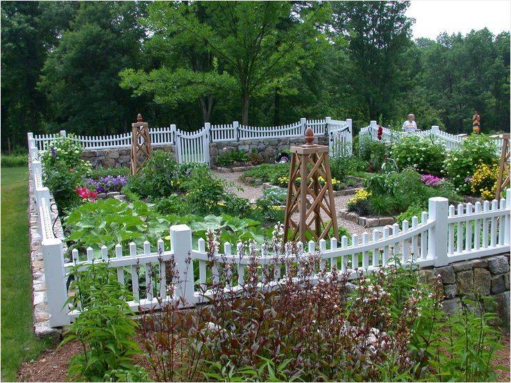 Vegetable Garden