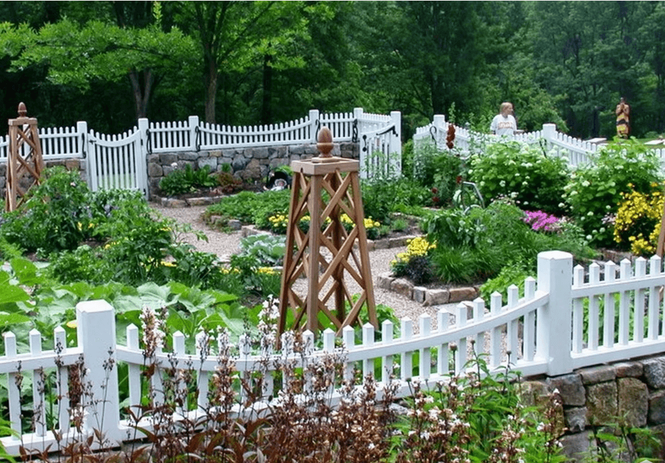 Vegetable Garden