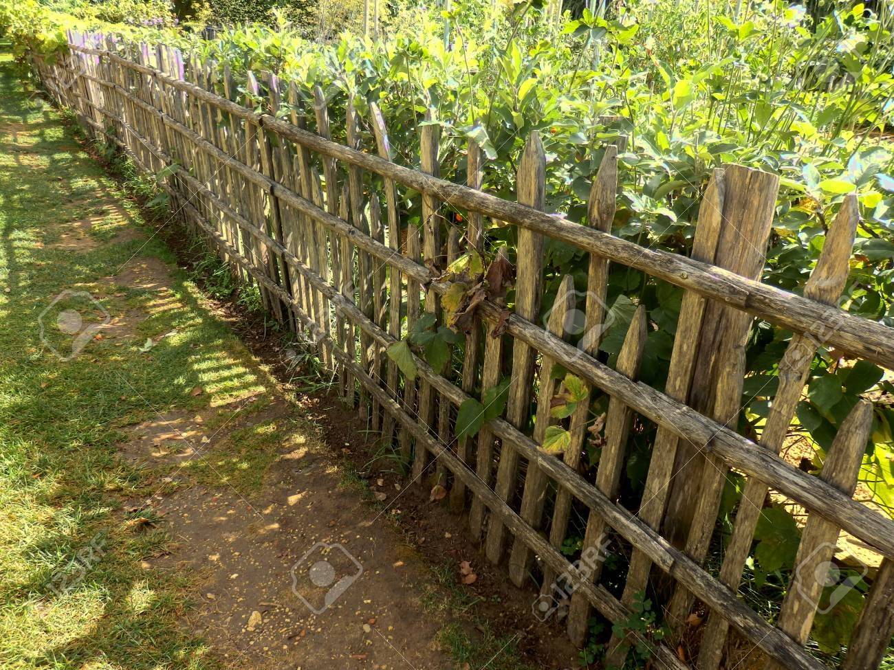 Veggie Garden Cheap Garden Fencing