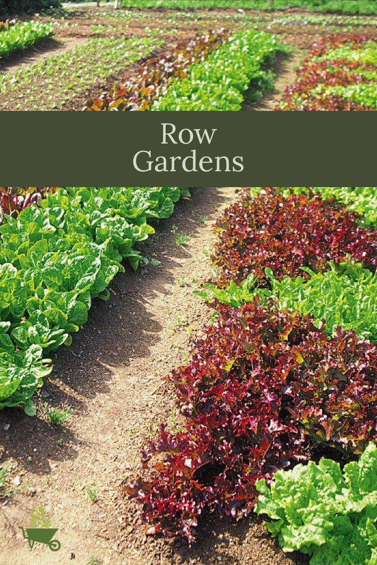 A Successful Vegetable Garden