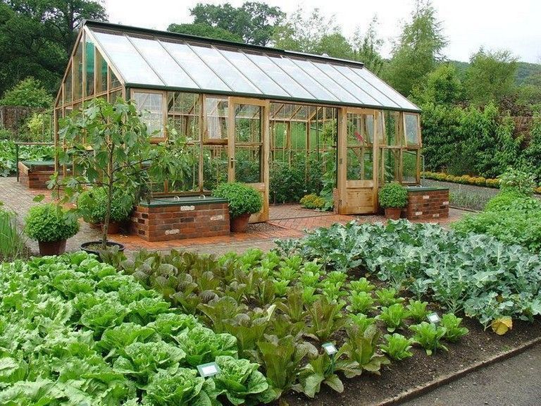 Vegetable Garden Design