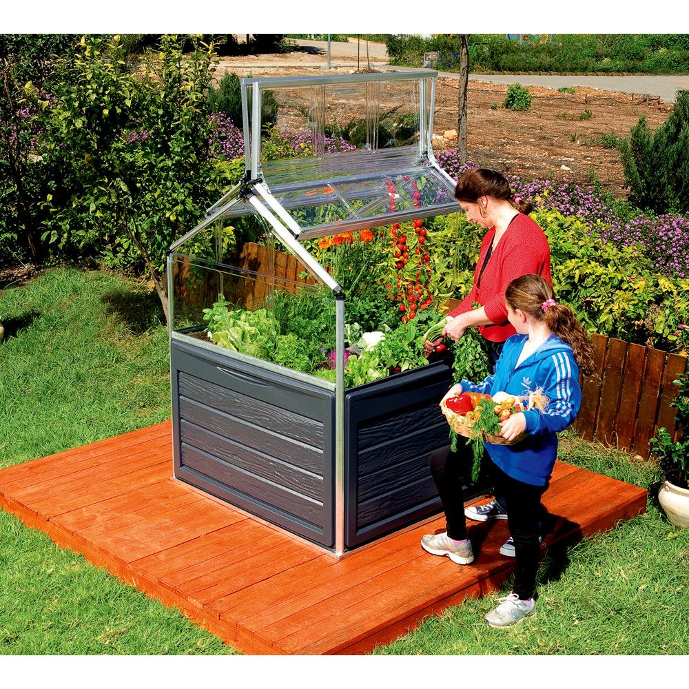 Greenhousegreenhouse Ideas