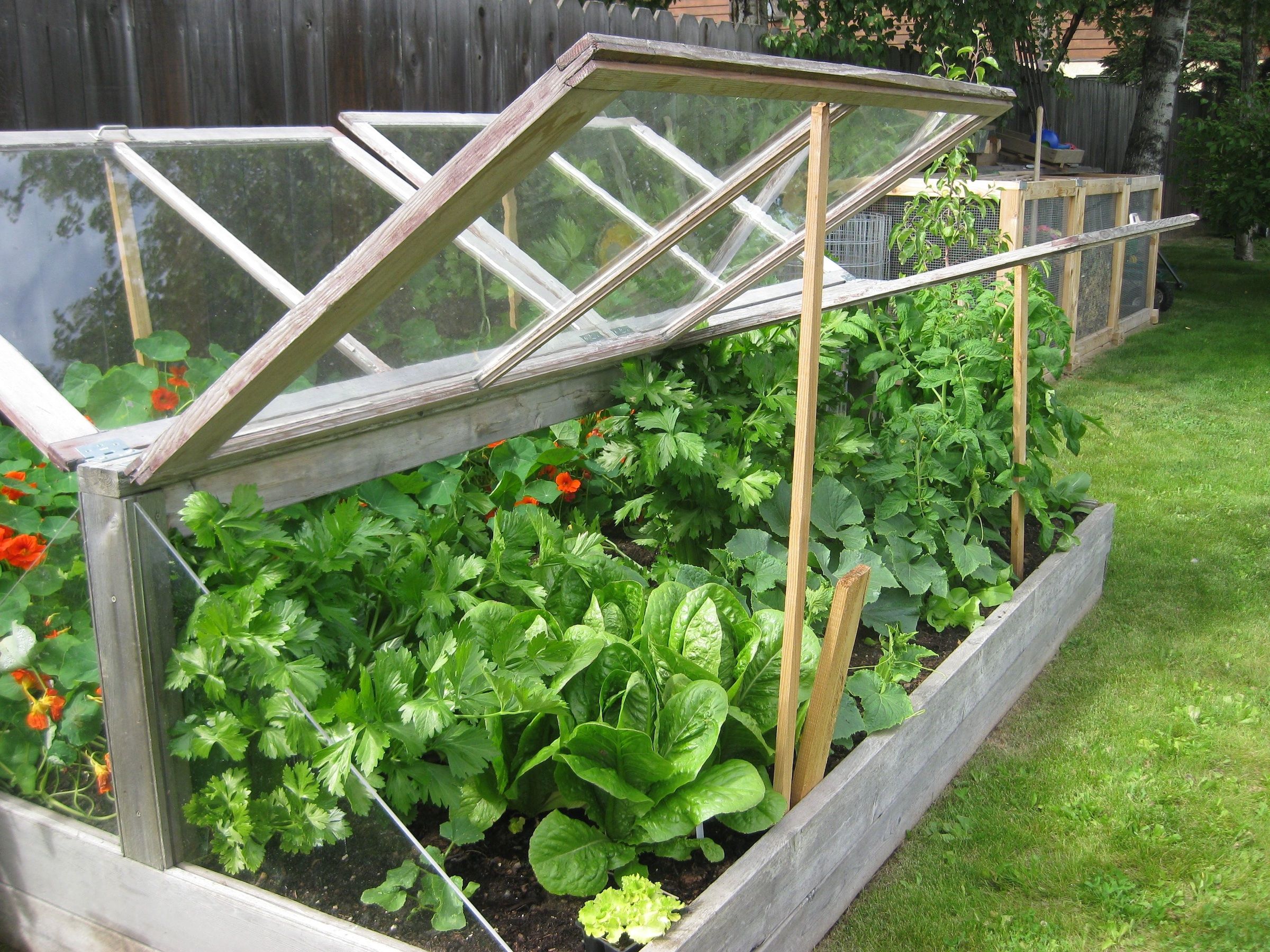 Related Image Vegetable Garden Design