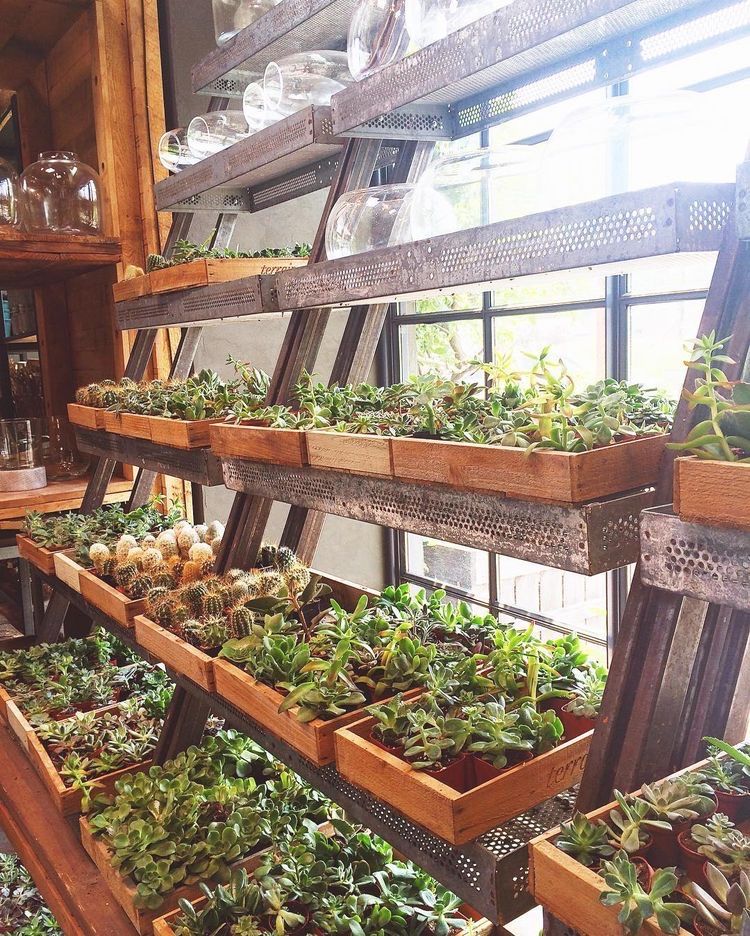 Small Greenhouse Ideas