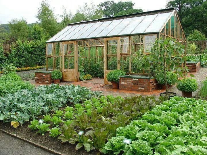 Small Greenhouse Ideas