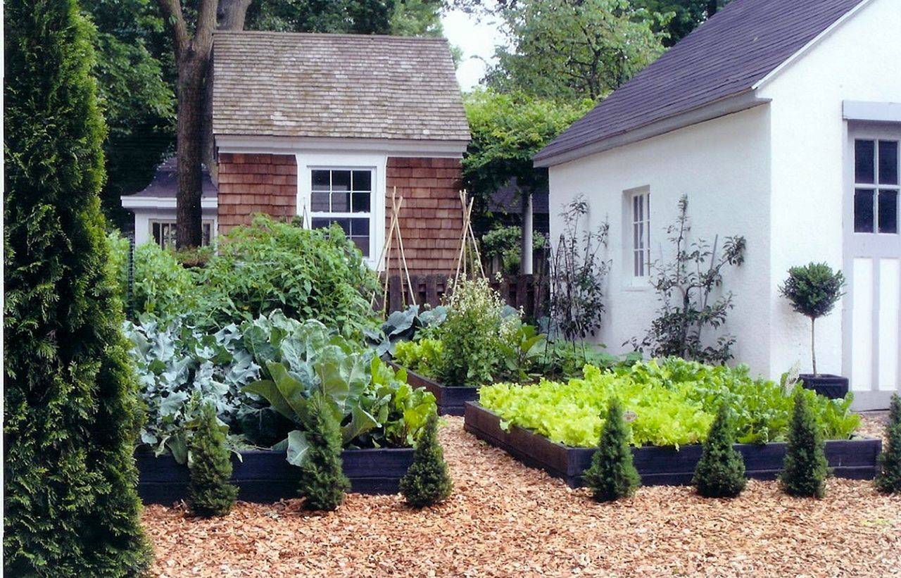 Box Hedge Border French Garden