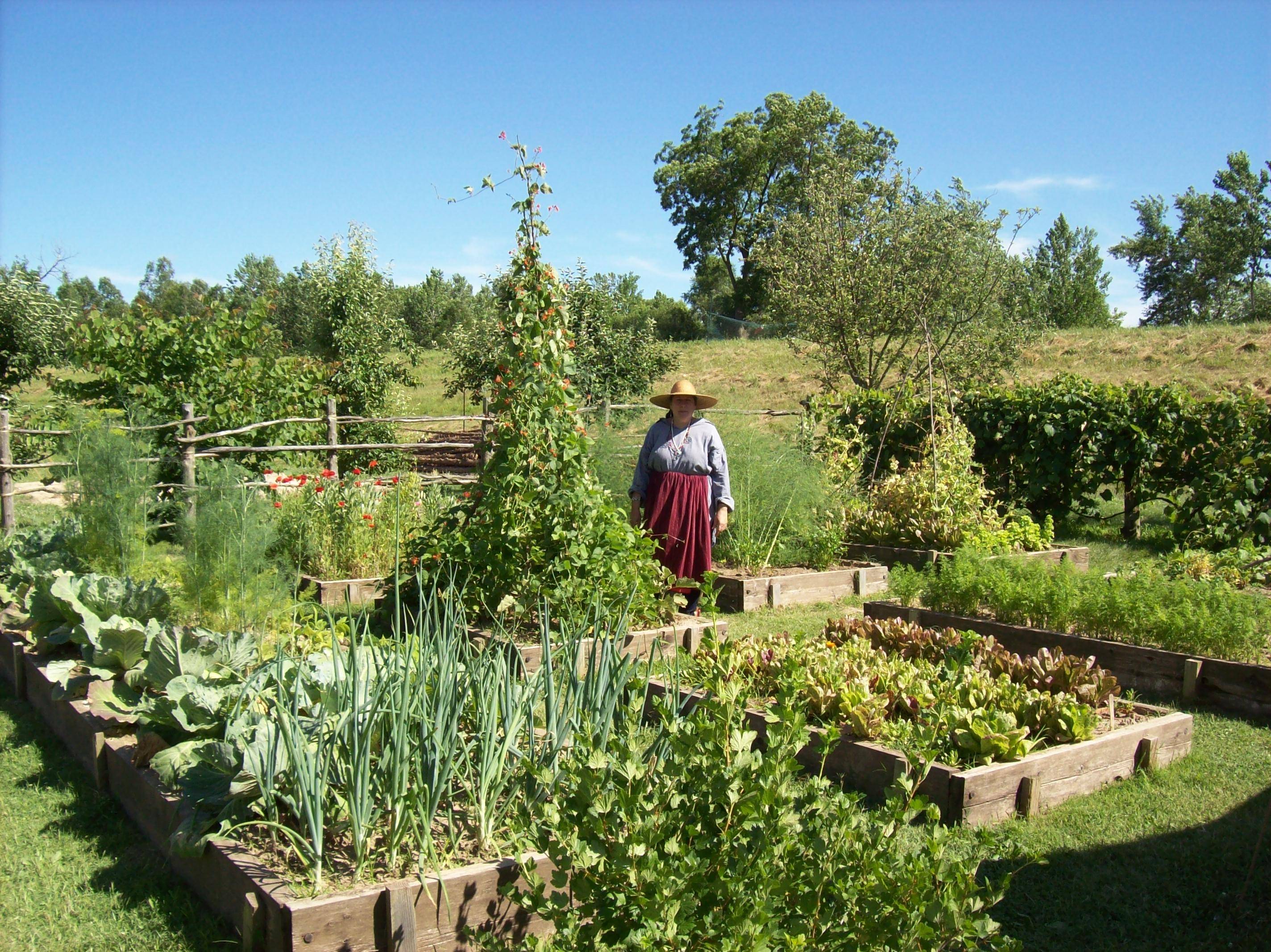 A Potager Aka French Vegetable Garden
